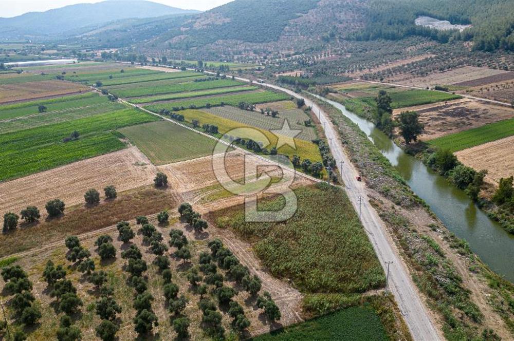 Milas Yaka Köyü Satılık Tarla