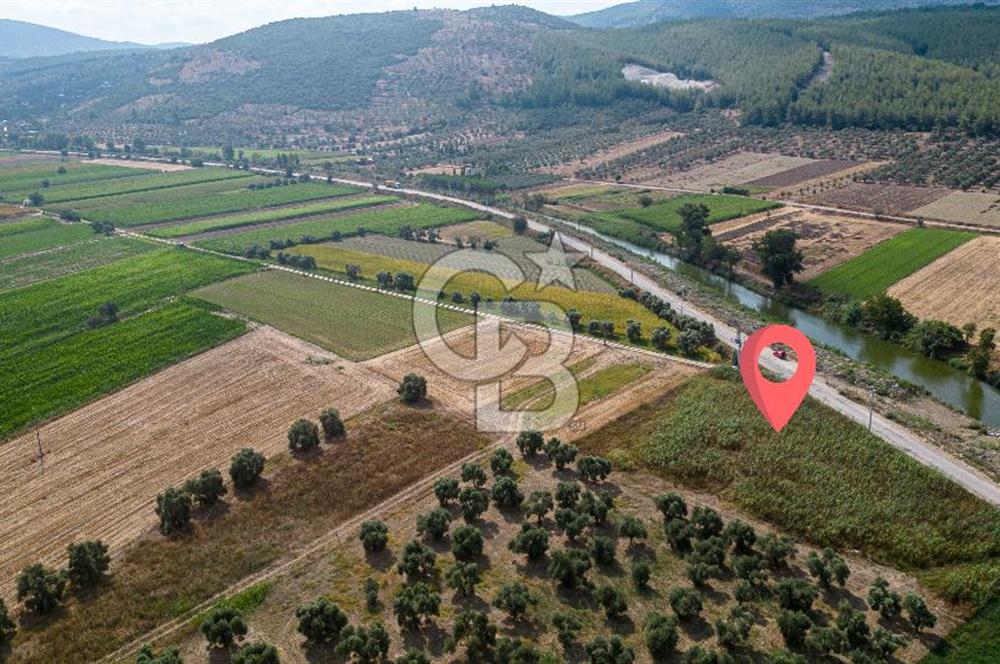 Milas Yaka Köyü Satılık Tarla