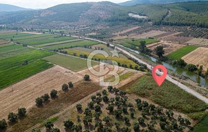 Milas Yaka Köyü Satılık Tarla