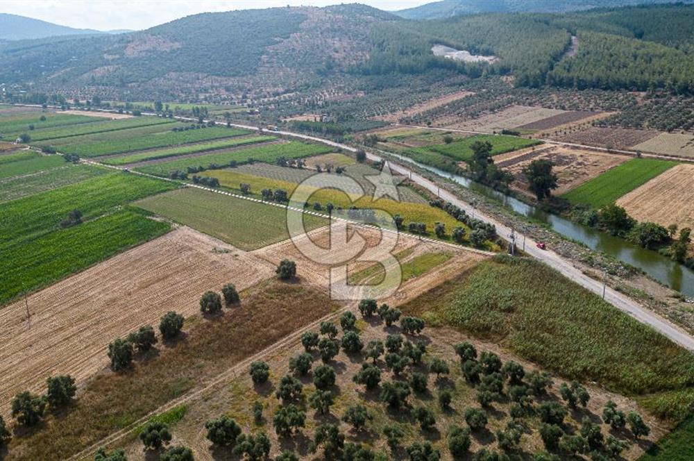Milas Yaka Köyü Satılık Tarla