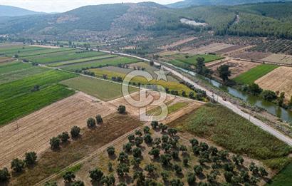 Milas Yaka Köyü Satılık Tarla