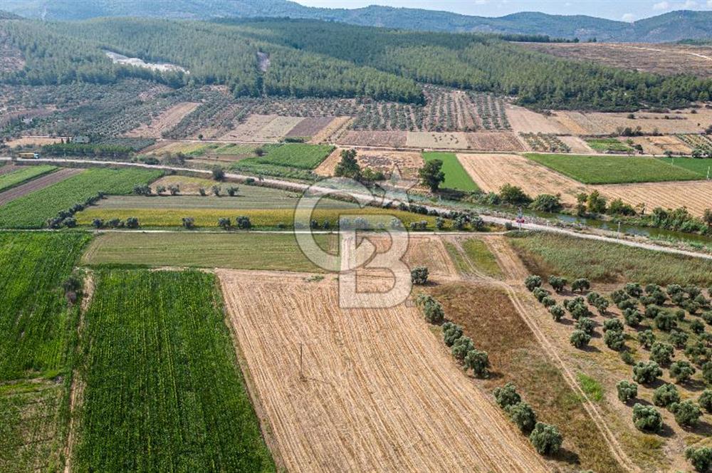Milas Yaka Köyü Satılık Tarla