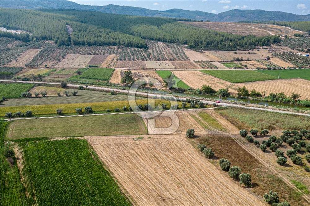 Milas Yaka Köyü Satılık Tarla