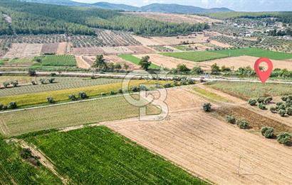 Milas Yaka Köyü Satılık Tarla