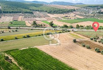 Milas Yaka Köyü Satılık Tarla - 1 - 330685