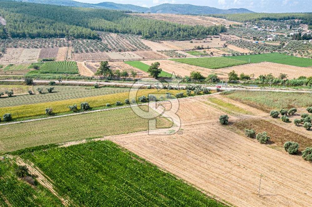 Milas Yaka Köyü Satılık Tarla