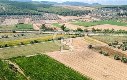 Milas Yaka Köyü Satılık Tarla