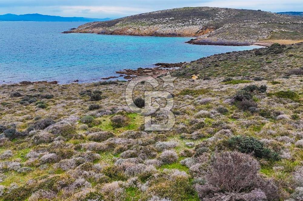 ÇANAKKALE BOZCAADA ALAYBEY DENİZE 10 METRE MESAFEDE SATILIK ARSA
