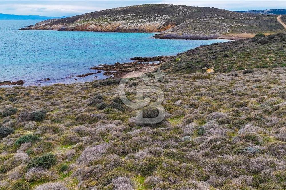 ÇANAKKALE BOZCAADA ALAYBEY DENİZE 10 METRE MESAFEDE SATILIK ARSA