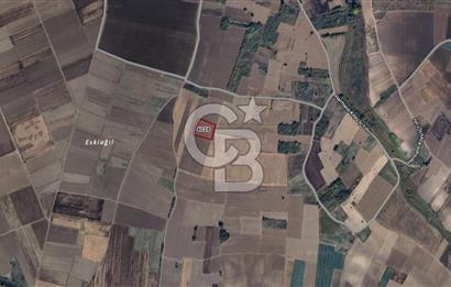 CB BLACK'TAN KARACABEY HARMANLI'DA 5.700 m2'LİK TARLA