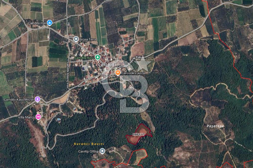 CB BLACK'TEN İZNİK ÇAMDİBİ ÇOK DEĞERLİ 14.111m2 TARLA