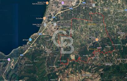 CB BLACK'TEN İZNİK ÇAMDİBİ ÇOK DEĞERLİ 14.111m2 TARLA