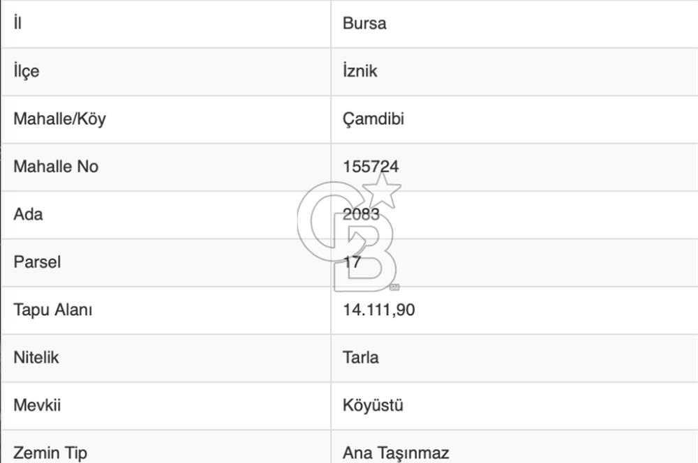 CB BLACK'TEN İZNİK ÇAMDİBİ ÇOK DEĞERLİ 14.111m2 TARLA