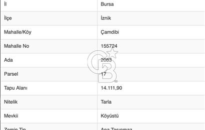 CB BLACK'TEN İZNİK ÇAMDİBİ ÇOK DEĞERLİ 14.111m2 TARLA