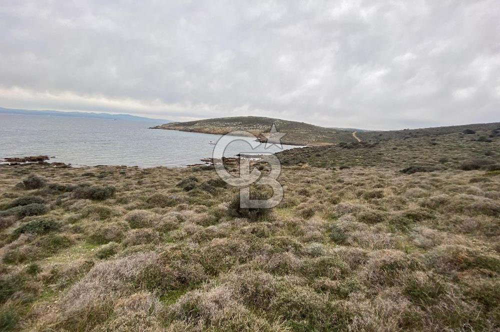 ÇANAKKALE BOZCAADA ALAYBEY DENİZE 10 METRE MESAFEDE SATILIK ARSA