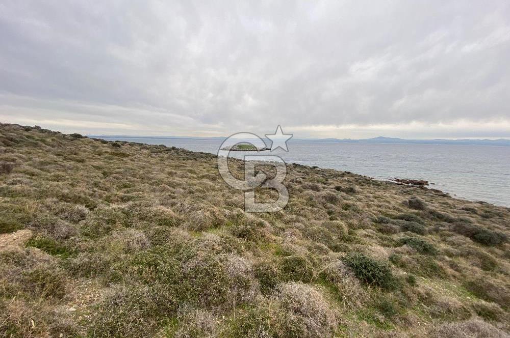 ÇANAKKALE BOZCAADA ALAYBEY DENİZE 10 METRE MESAFEDE SATILIK ARSA