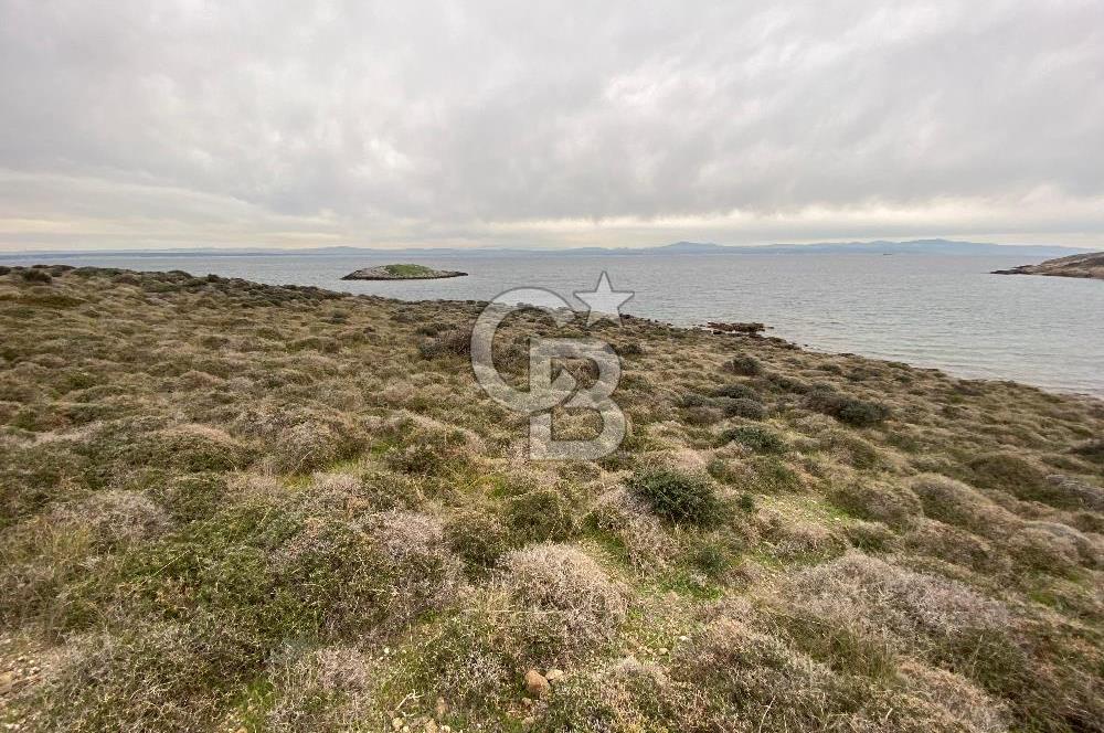ÇANAKKALE BOZCAADA ALAYBEY DENİZE 10 METRE MESAFEDE SATILIK ARSA