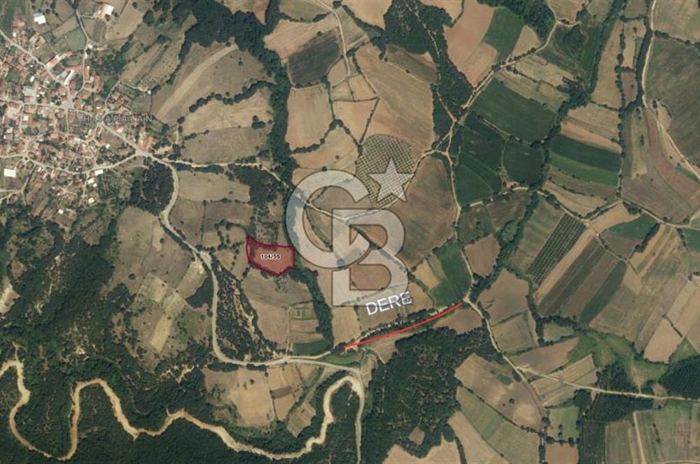 COLDWELL BANKASI LİDER DAN KARESİ HİSARALANDA SATILIK TARLA