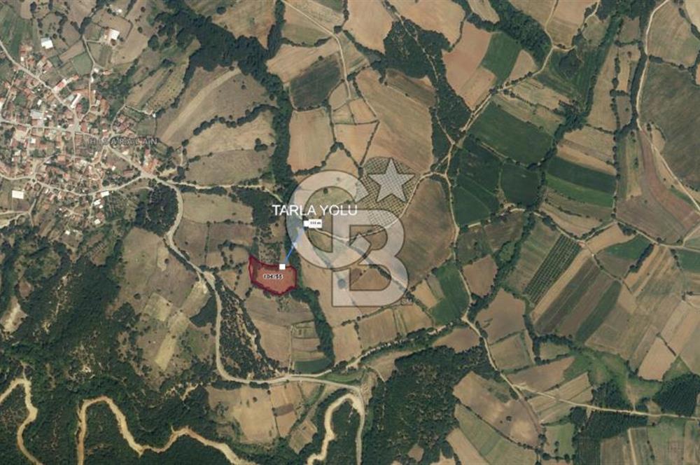 COLDWELL BANKASI LİDER DAN KARESİ HİSARALANDA SATILIK TARLA