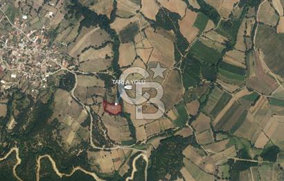 COLDWELL BANKASI LİDER DAN KARESİ HİSARALANDA SATILIK TARLA