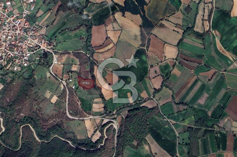 COLDWELL BANKASI LİDER DAN KARESİ HİSARALANDA SATILIK TARLA