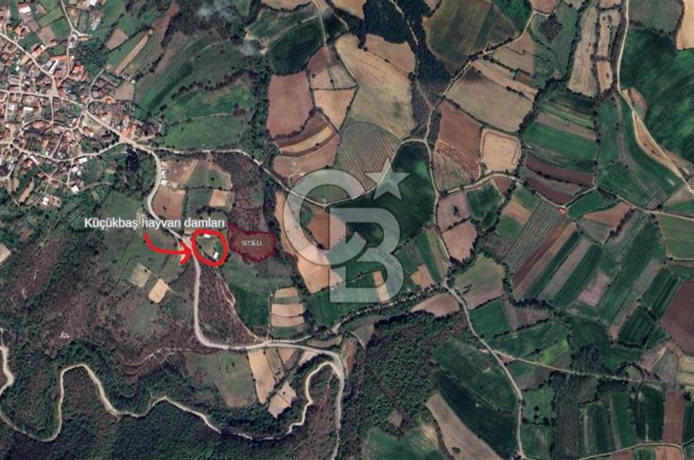 COLDWELL BANKASI LİDER DAN KARESİ HİSARALANDA SATILIK TARLA