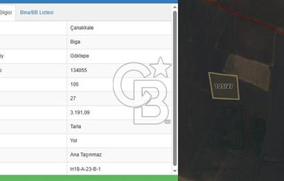 ÇANAKKALE BİGA GÖKTEPE KÖYÜNDE SATILIK 3191 M2 TARLA