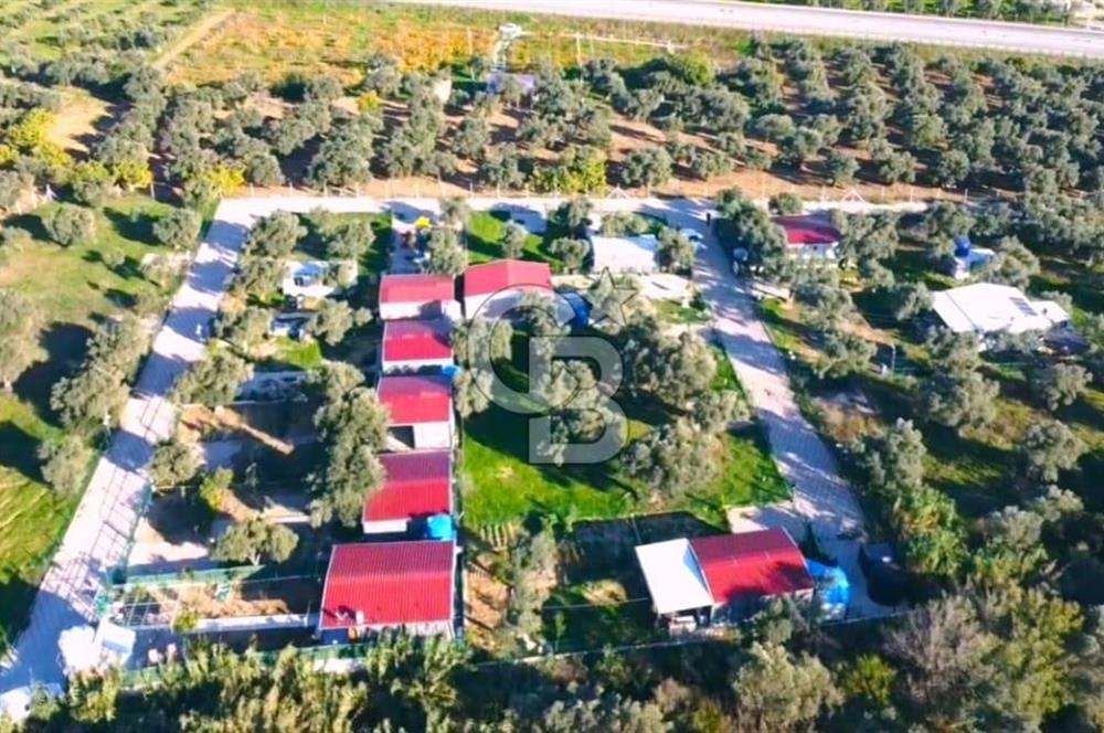 TORBALI ÇAKIRBEYLİ'DE İÇİNDE EV OLAN SİTE İÇİ FIRSAT ZEYTİNLİK