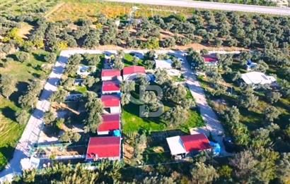 TORBALI ÇAKIRBEYLİ'DE İÇİNDE EV OLAN SİTE İÇİ FIRSAT ZEYTİNLİK