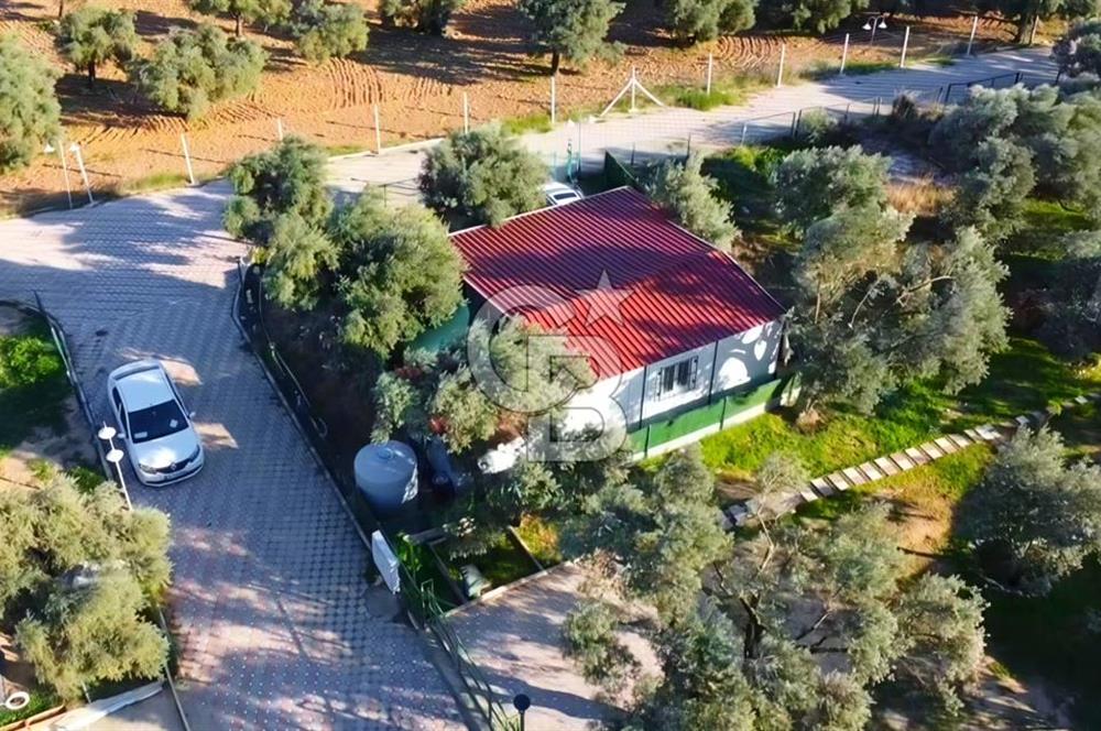 TORBALI ÇAKIRBEYLİ'DE İÇİNDE EV OLAN SİTE İÇİ FIRSAT ZEYTİNLİK