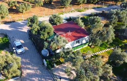 TORBALI ÇAKIRBEYLİ'DE İÇİNDE EV OLAN SİTE İÇİ FIRSAT ZEYTİNLİK