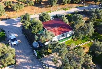 TORBALI ÇAKIRBEYLİ'DE İÇİNDE EV OLAN SİTE İÇİ FIRSAT ZEYTİNLİK - 1 - 330724