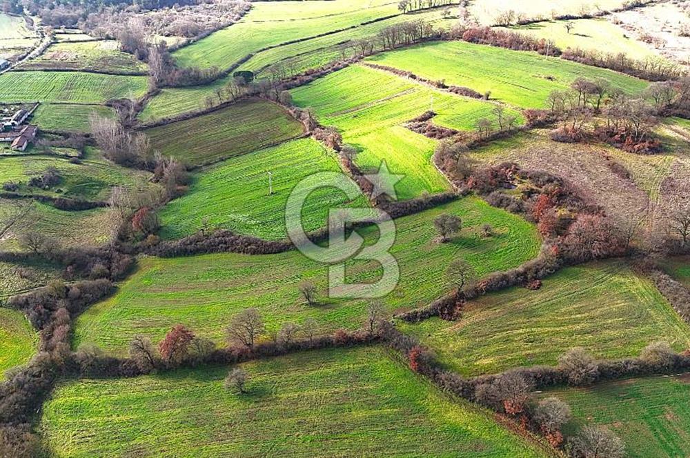 Çanakkale Çan Çakılköyde Satılık 10.500 m2 tarla