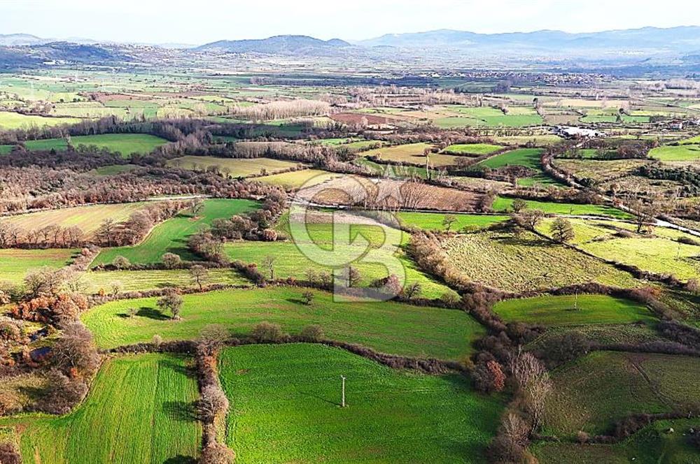Çanakkale Çan Çakılköyde Satılık 10.500 m2 tarla