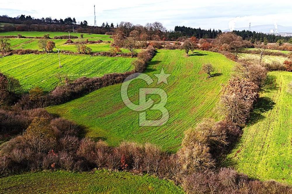 Çanakkale Çan Çakılköyde Satılık 10.500 m2 tarla