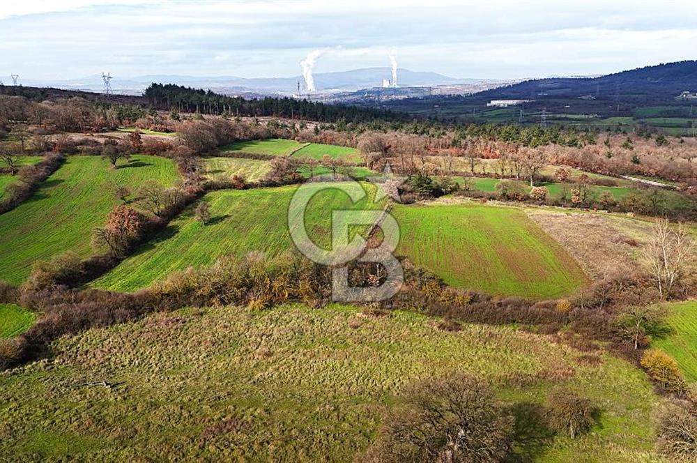 Çanakkale Çan Çakılköyde Satılık 10.500 m2 tarla