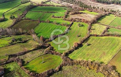 Çanakkale Çan Çakılköyde 2798 m2 Satılık Arsa