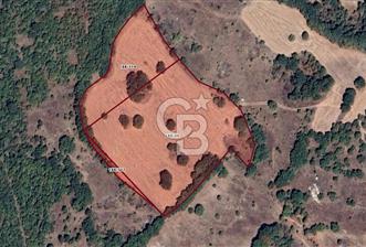 CB EAGLE'DAN DURSUNBEY KAVACIK MH SATILIK 24 DÖNÜM TARLA - 1 - 330723