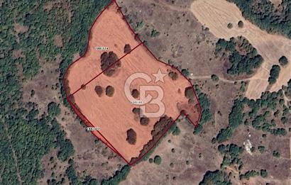 CB EAGLE'DAN DURSUNBEY KAVACIK MH SATILIK 24 DÖNÜM TARLA