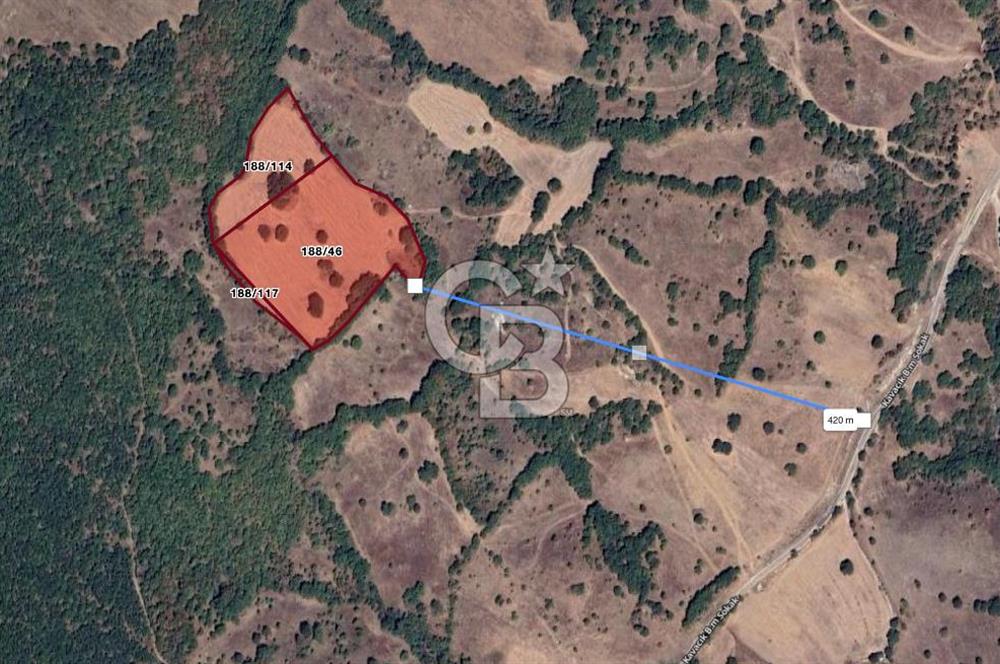 CB EAGLE'DAN DURSUNBEY KAVACIK MH SATILIK 24 DÖNÜM TARLA