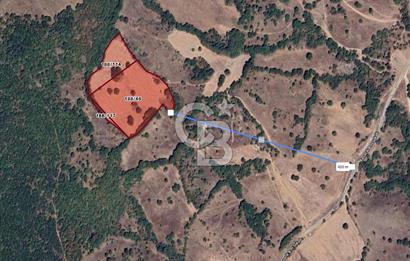 CB EAGLE'DAN DURSUNBEY KAVACIK MH SATILIK 24 DÖNÜM TARLA