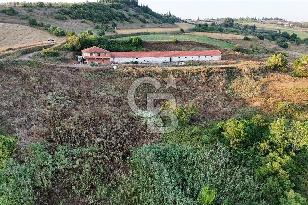 ÇİFTLİKKÖY KABAKLI DA SATILIK 47.375M2 ARAZİ VE MÜŞTEMİLAT!