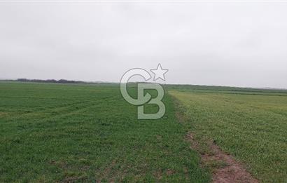 Tekirdağ Çorlu Türkgücü'de Satılık 20.650 m2 Tek Tapu Tarla