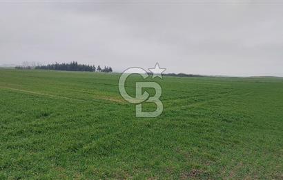 Tekirdağ Çorlu Türkgücü'de Satılık 20.650 m2 Tek Tapu Tarla