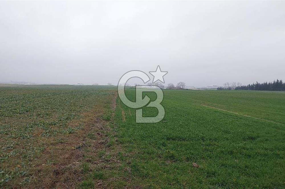 Tekirdağ Çorlu Türkgücü'de Satılık 20.650 m2 Tek Tapu Tarla