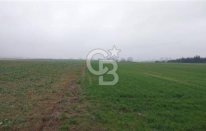 Tekirdağ Çorlu Türkgücü'de Satılık 20.650 m2 Tek Tapu Tarla