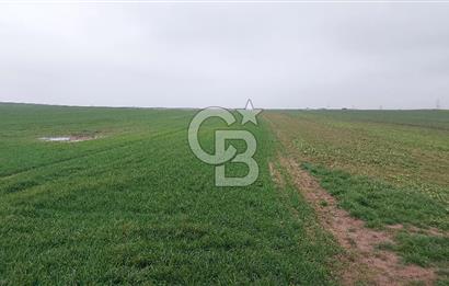 Tekirdağ Çorlu Türkgücü'de Satılık 20.650 m2 Tek Tapu Tarla