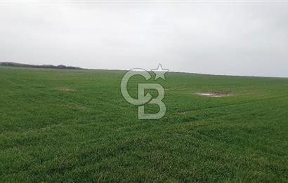 Tekirdağ Çorlu Türkgücü'de Satılık 20.650 m2 Tek Tapu Tarla