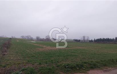 Tekirdağ Çorlu Türkgücü'de Satılık 20.650 m2 Tek Tapu Tarla