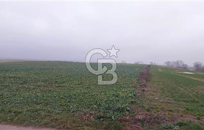 Tekirdağ Çorlu Türkgücü'de Satılık 20.650 m2 Tek Tapu Tarla